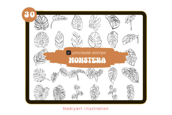 Download 30 Monstera Leaves Procreate Stamps - Leaves Collection