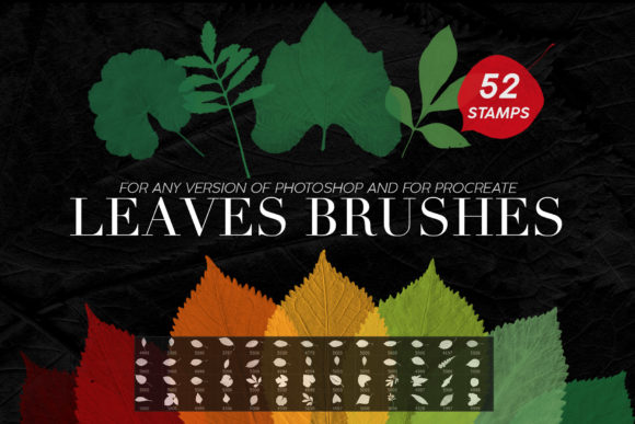 Download Leaves Photoshop Stamp Brushes - Leaves Collection