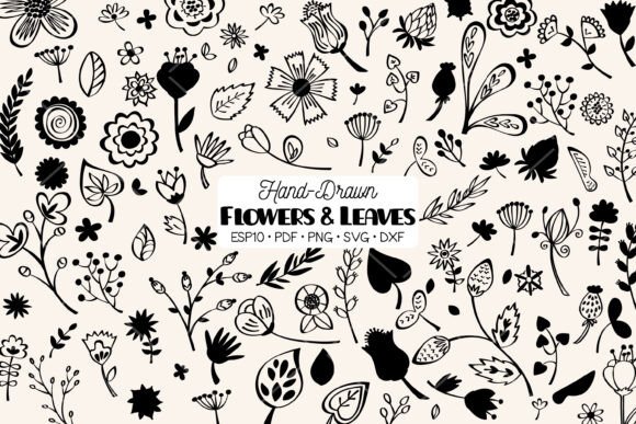 Download Flowers &amp; Leaves | Hand Drawn Plants - Leaves Collection